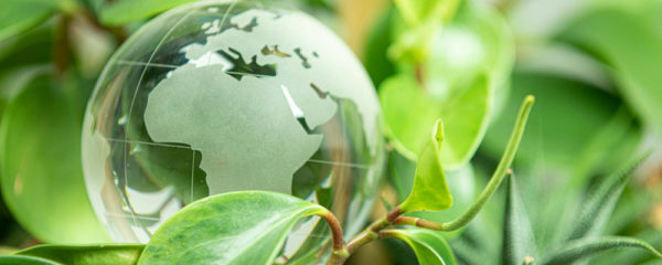 environnement