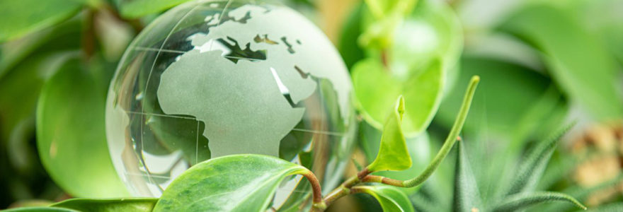 environnement